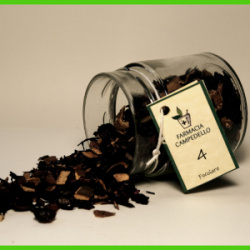 07 Sottobosco