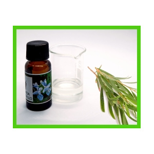 tea_tree_2